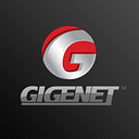 Logo G.I.G.E.