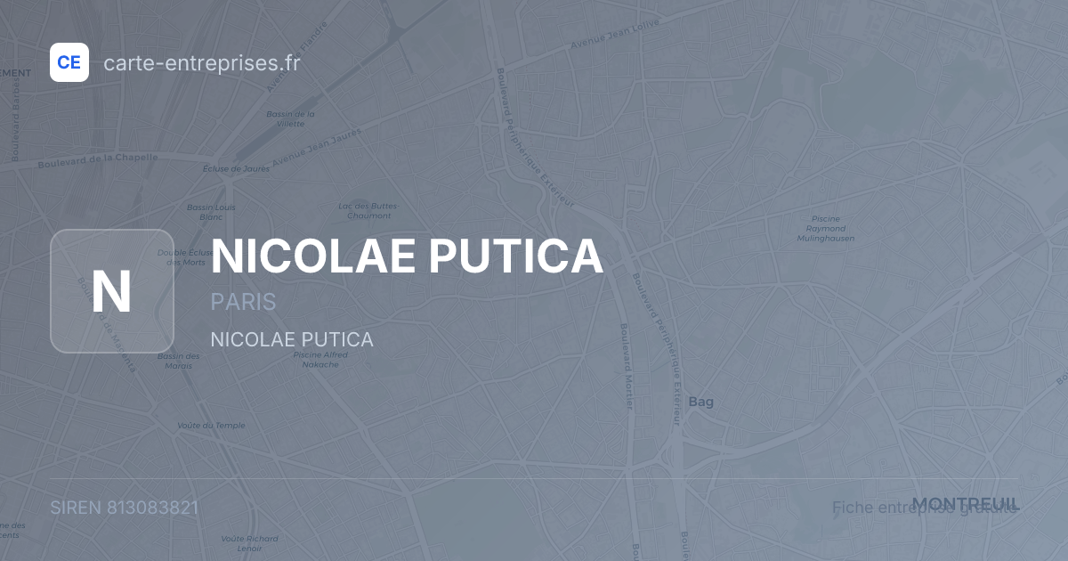 NICOLAE PUTICA — 813083821 — carte-entreprises.fr
