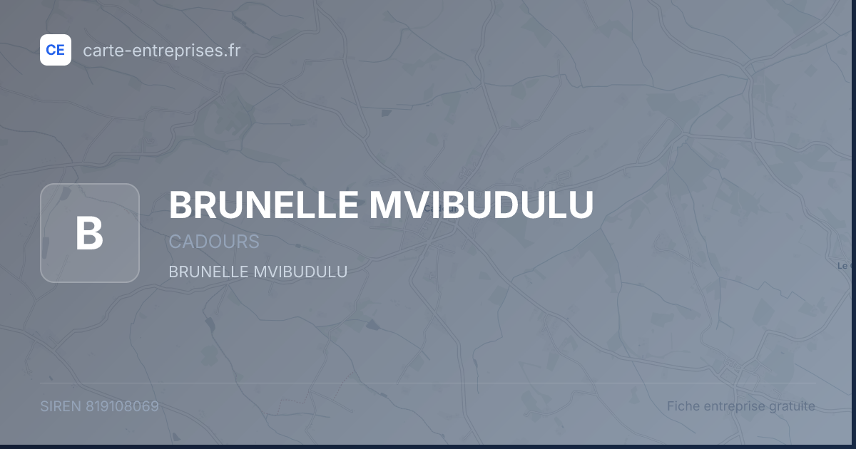 BRUNELLE MVIBUDULU — 819108069 — carte-entreprises.fr