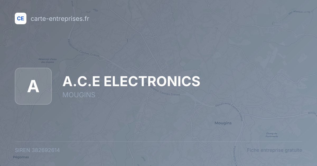 A.C.E ELECTRONICS — 382692614 — fiche entreprise