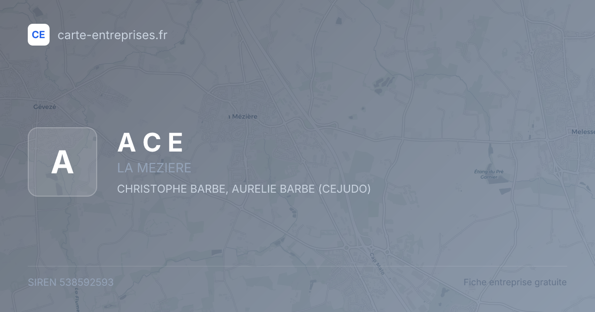 A C E — 538592593 — fiche entreprise