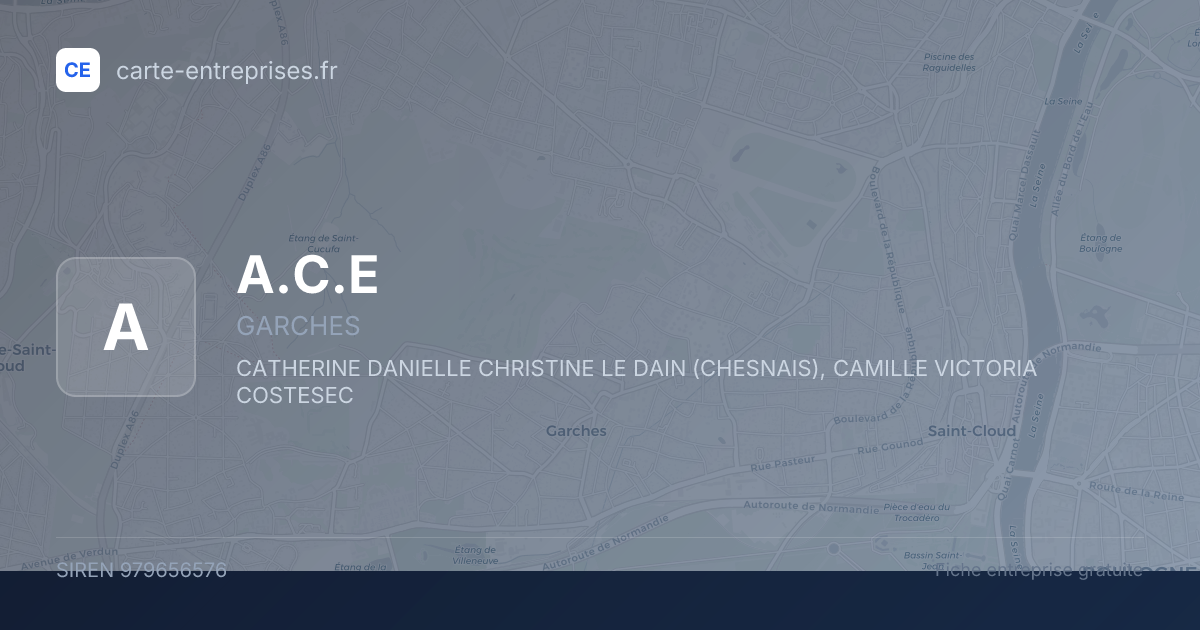 A.C.E — 979656576 — fiche entreprise