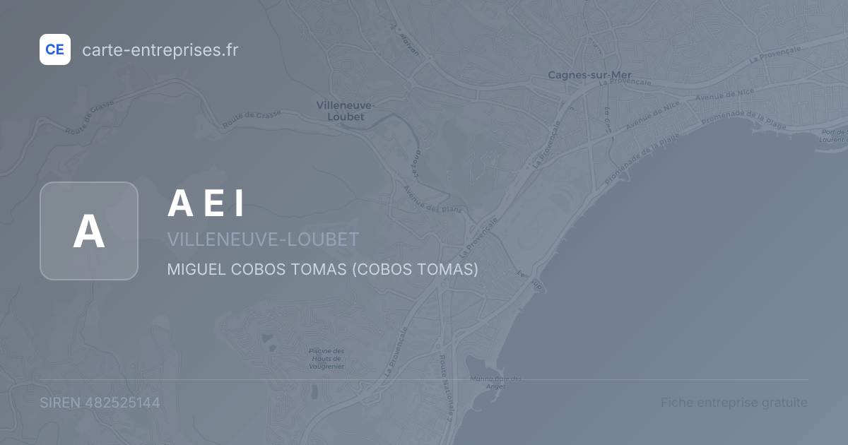 A E I — 482525144 — fiche entreprise