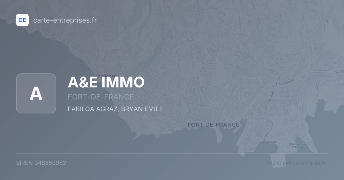 A&E IMMO — 948859962 — fiche entreprise