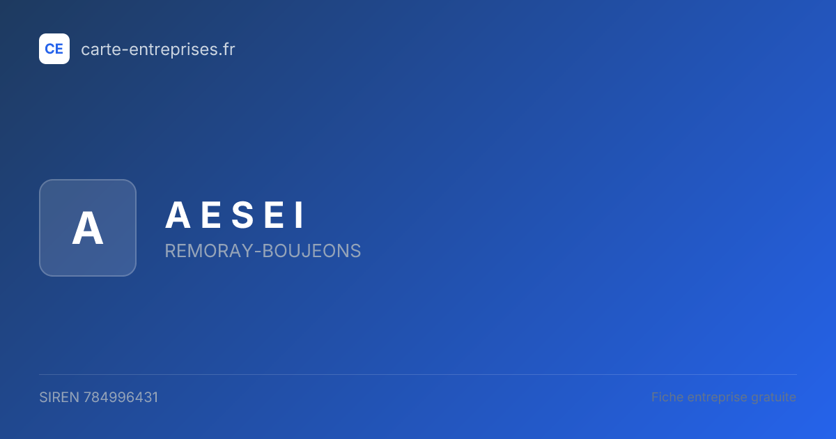 A E S E I — 784996431 — fiche entreprise
