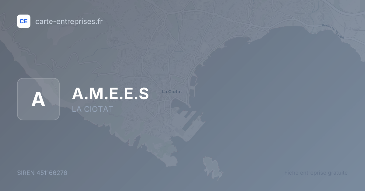 A.M.E.E.S — 451166276 — fiche entreprise