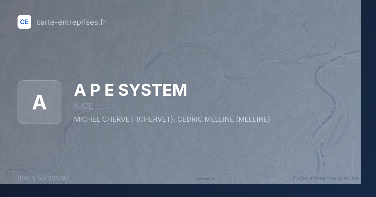 A P E SYSTEM — 501331797 — fiche entreprise