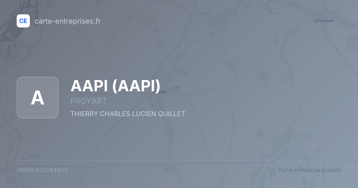 AAPI — 919244905 — fiche entreprise