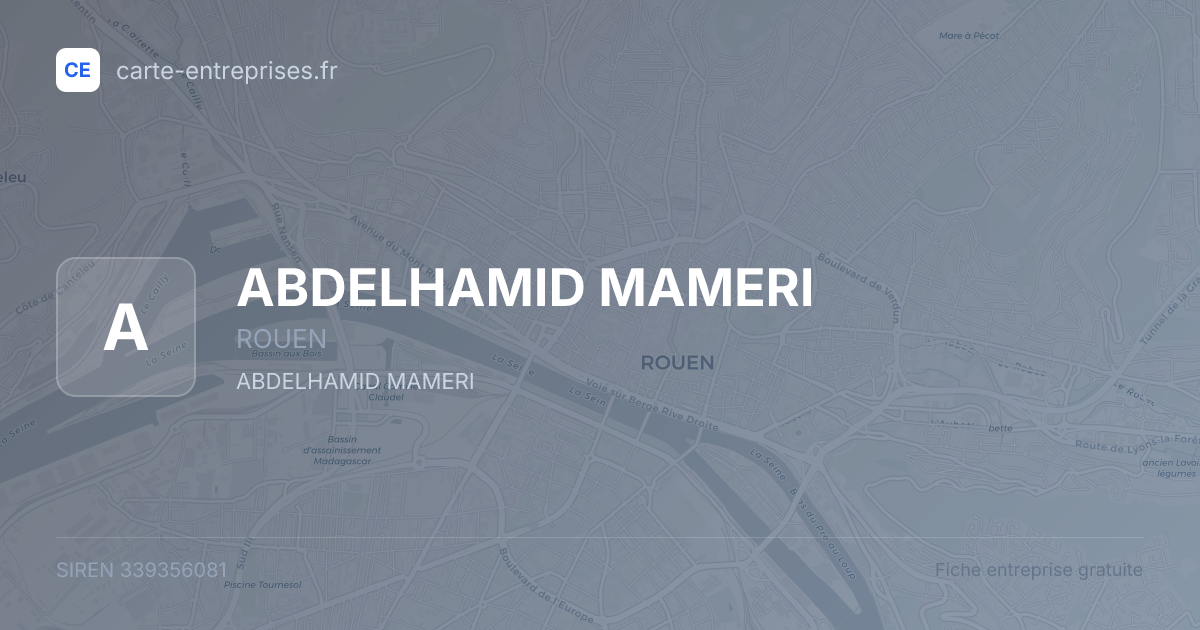 ABDELHAMID MAMERI — 339356081 — fiche entreprise