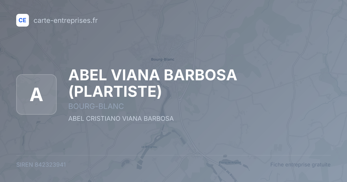 ABEL VIANA BARBOSA (PLARTISTE) — 842323941 — fiche entreprise