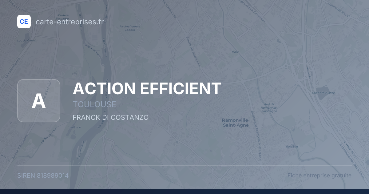 ACTION EFFICIENT — 818989014 — fiche entreprise