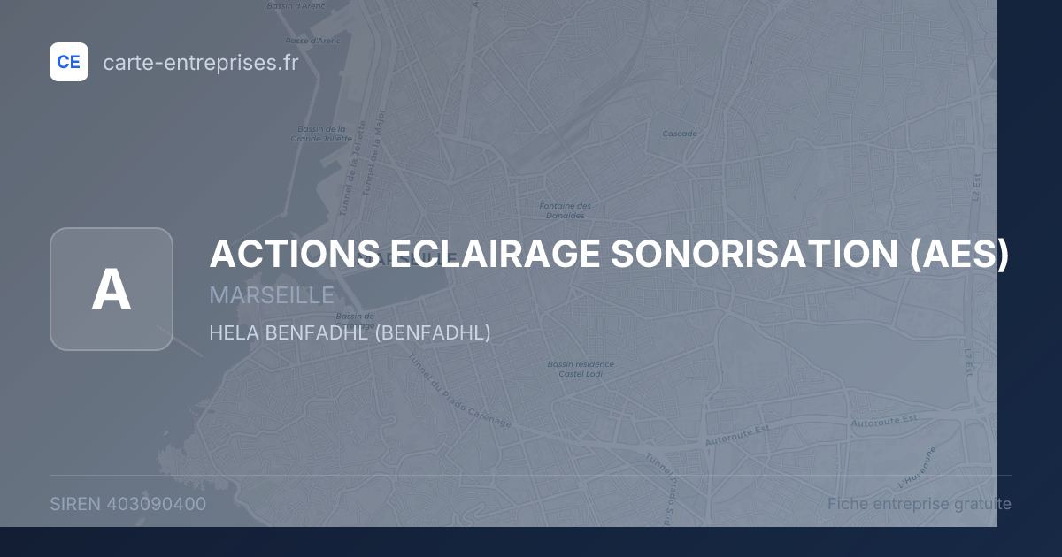 ACTIONS ECLAIRAGE SONORISATION (AES) — 403090400 — fiche entreprise