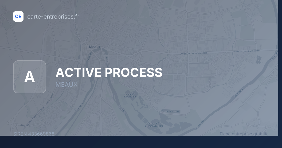 ACTIVE PROCESS — 433669868 — fiche entreprise