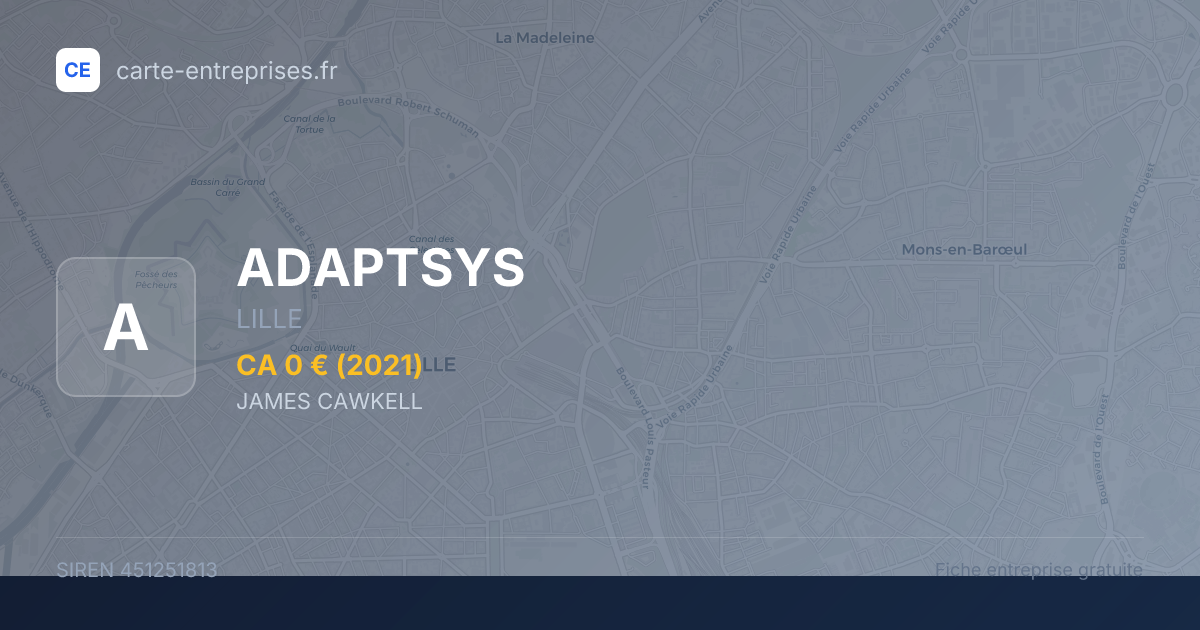 ADAPTSYS — 451251813 — fiche entreprise