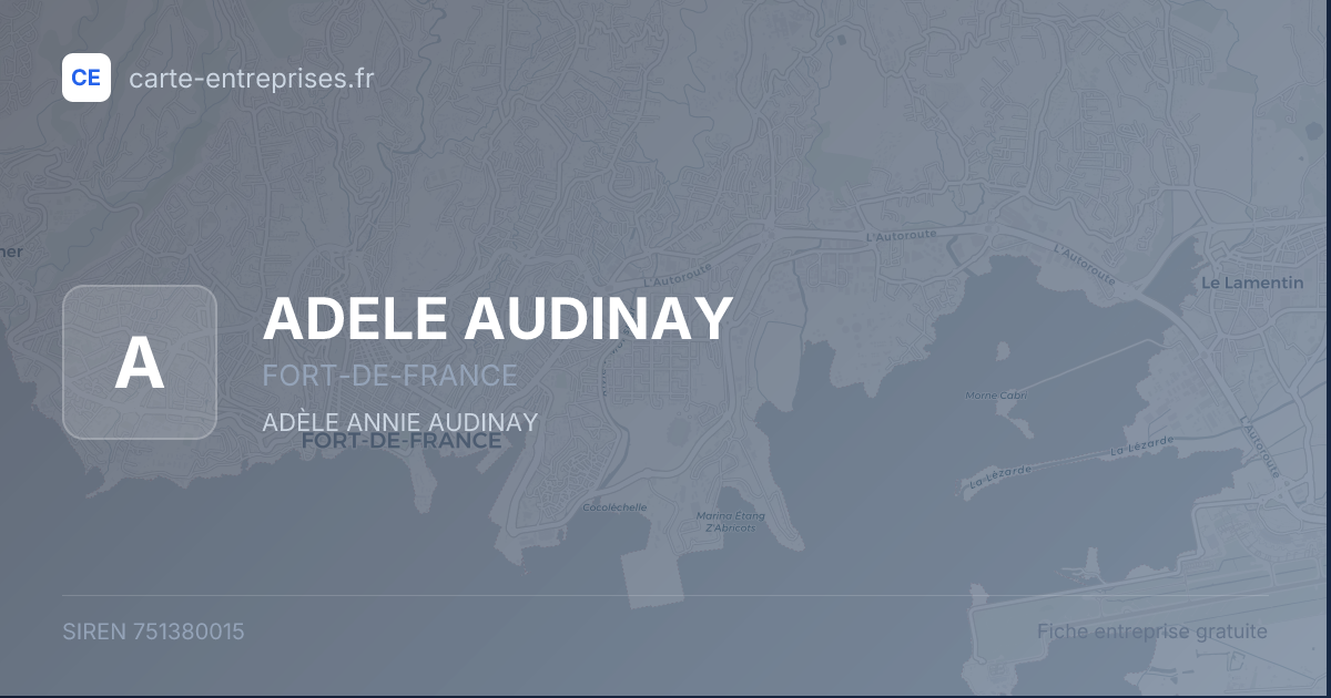ADELE AUDINAY — 751380015 — fiche entreprise