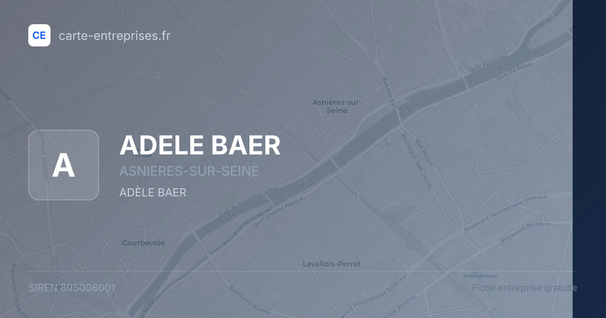 ADELE BAER — 895008001 — fiche entreprise