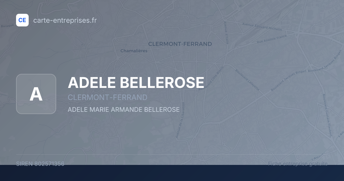 ADELE BELLEROSE — 802571356 — fiche entreprise