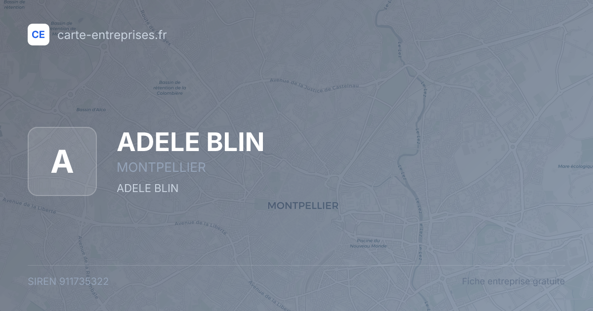 ADELE BLIN — 911735322 — fiche entreprise