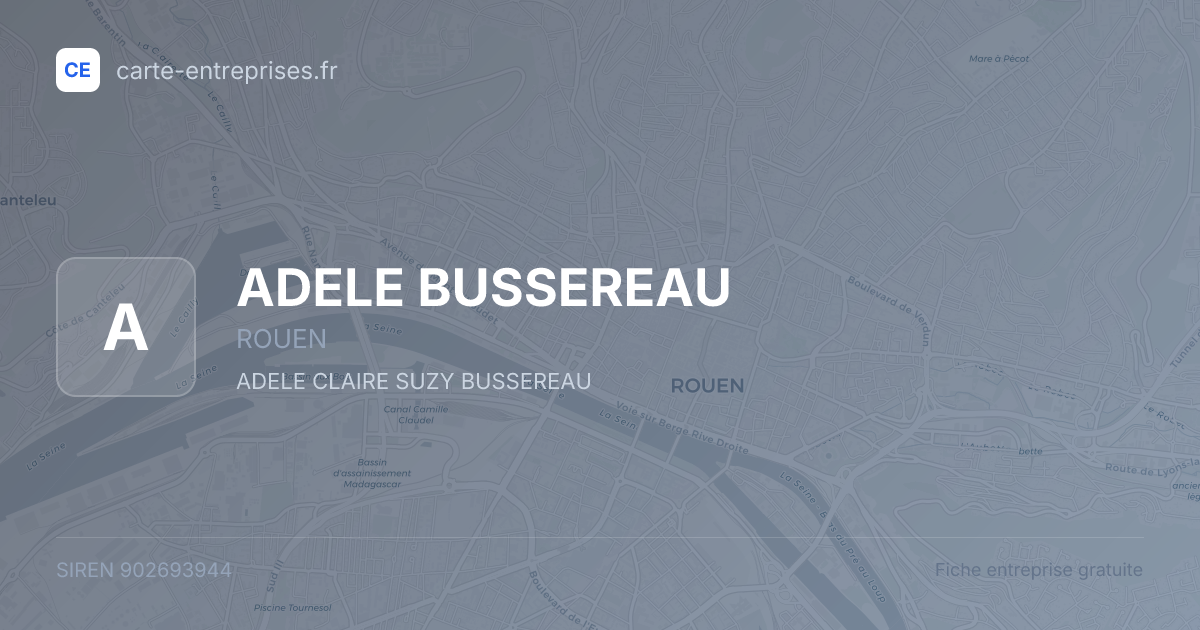 ADELE BUSSEREAU — 902693944 — fiche entreprise