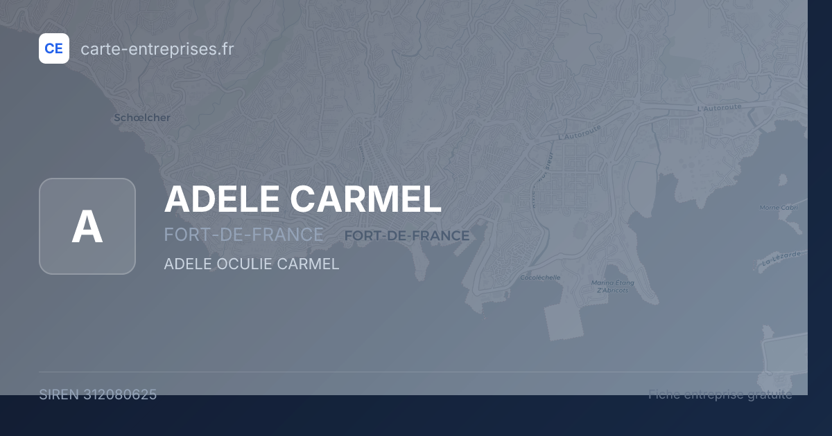 ADELE CARMEL — 312080625 — fiche entreprise