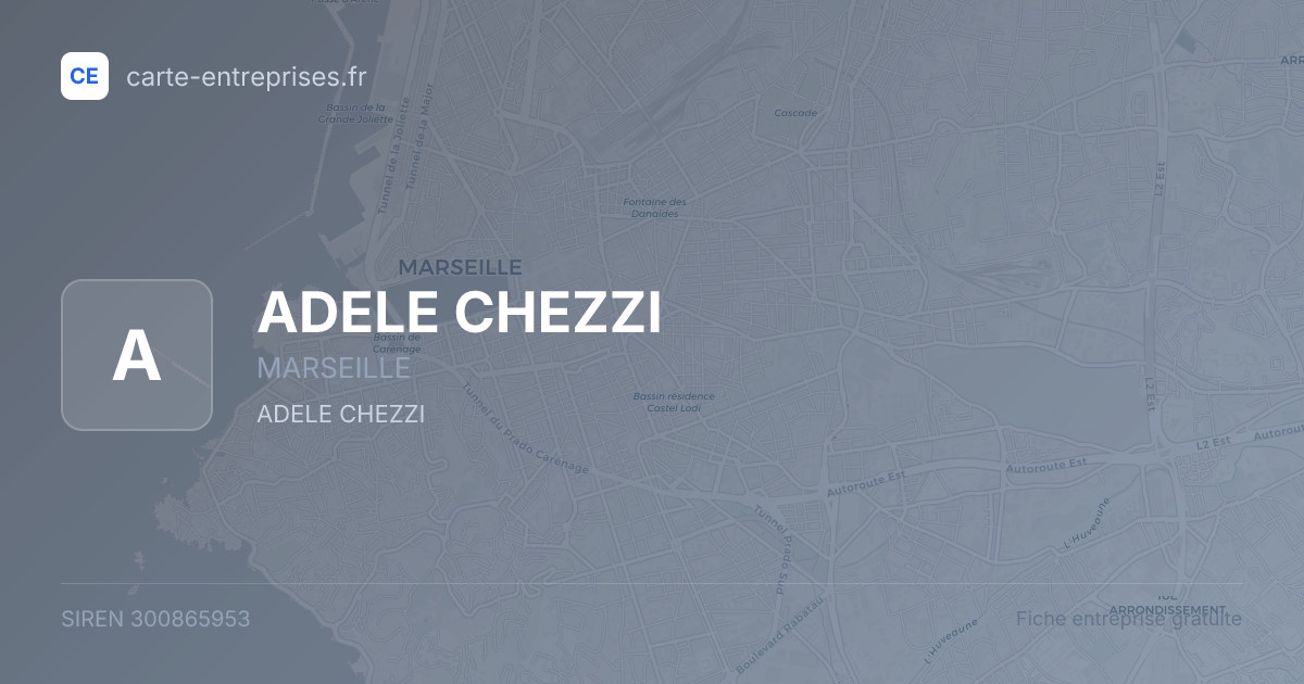 ADELE CHEZZI — 300865953 — fiche entreprise