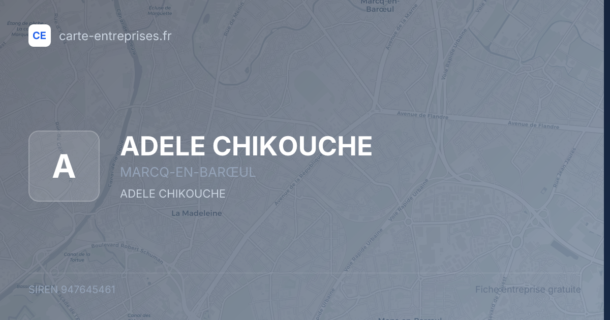 ADELE CHIKOUCHE — 947645461 — fiche entreprise