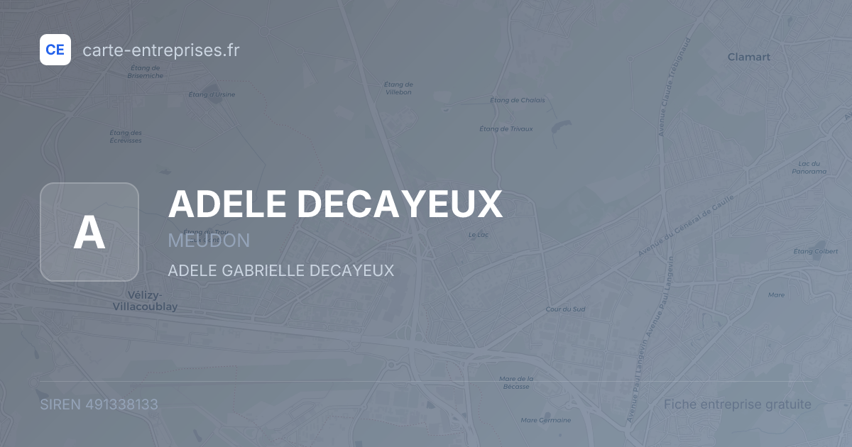 ADELE DECAYEUX — 491338133 — fiche entreprise