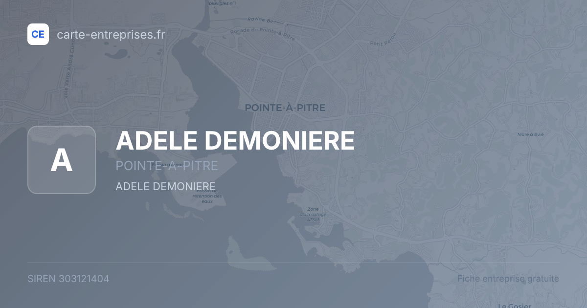 ADELE DEMONIERE — 303121404 — fiche entreprise