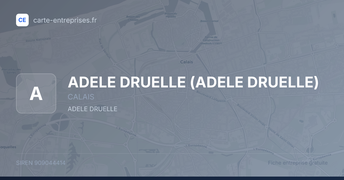 ADELE DRUELLE — 909044414 — fiche entreprise