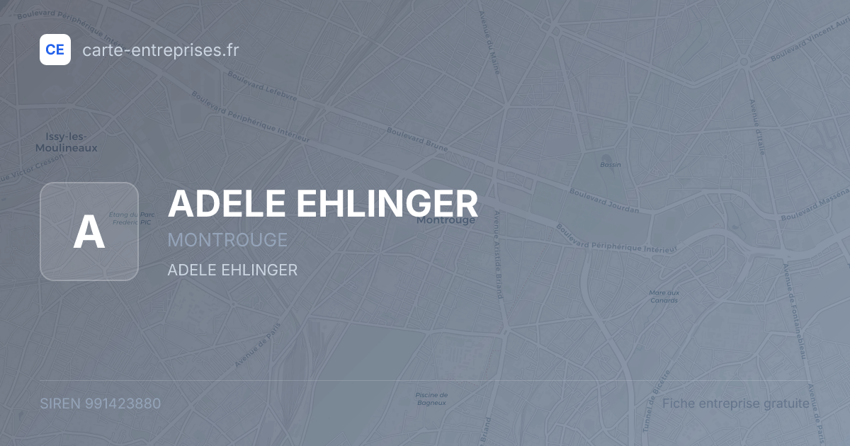 ADELE EHLINGER — 991423880 — fiche entreprise