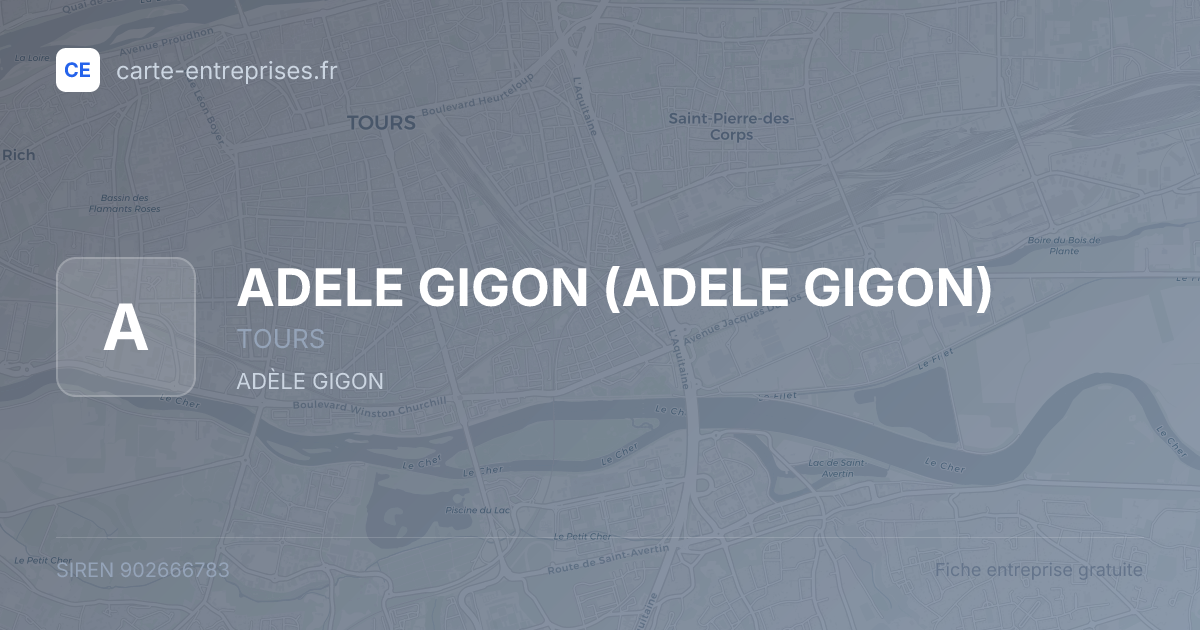 ADELE GIGON — 902666783 — fiche entreprise