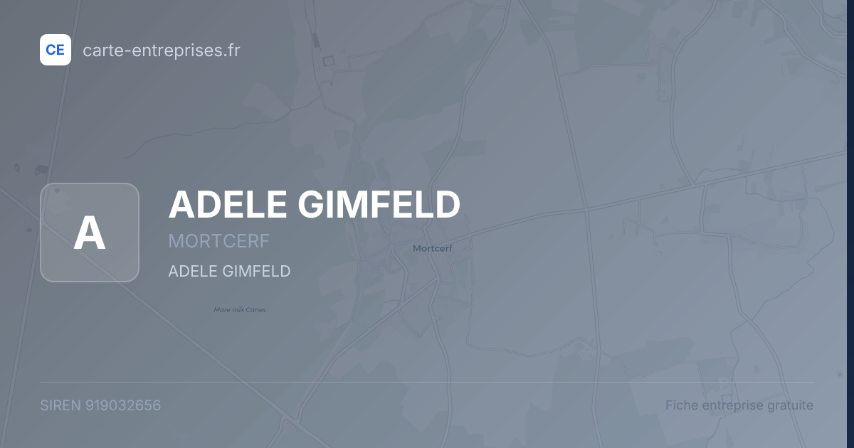 ADELE GIMFELD — 919032656 — fiche entreprise