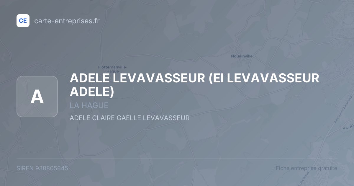 ADELE LEVAVASSEUR (EI LEVAVASSEUR ADELE) — 938805645 — fiche entreprise