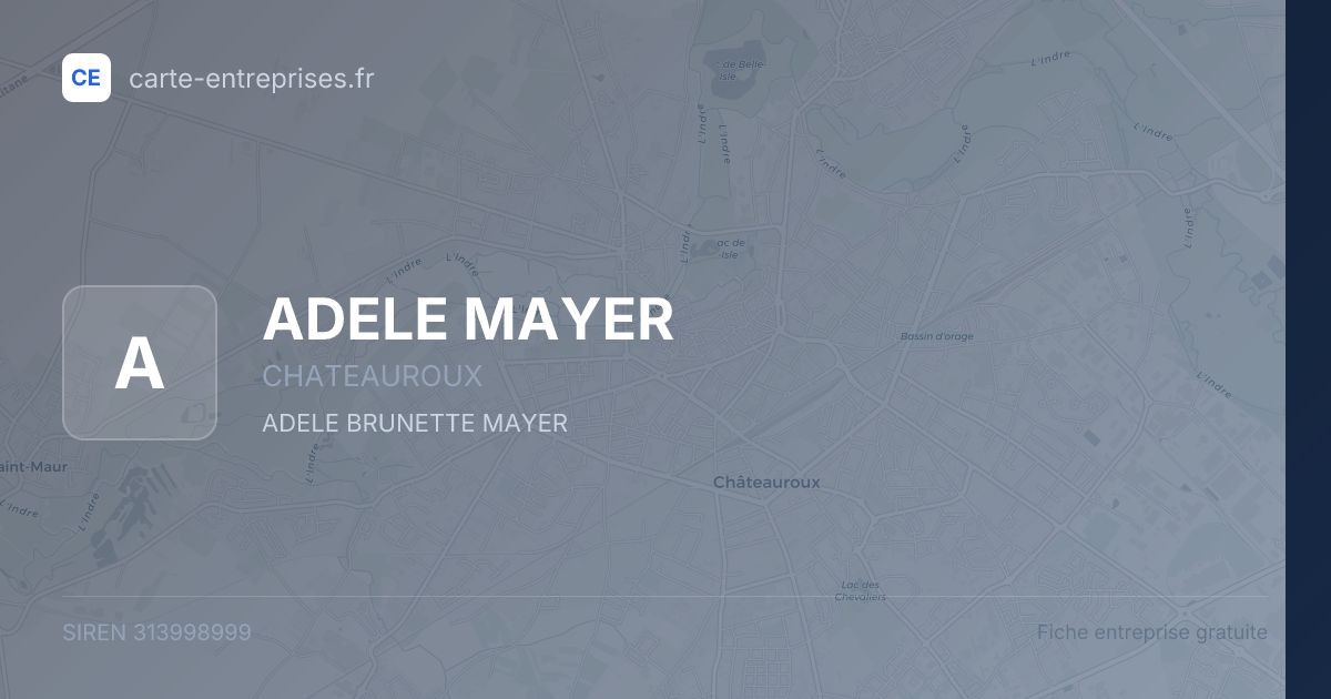 ADELE MAYER — 313998999 — fiche entreprise