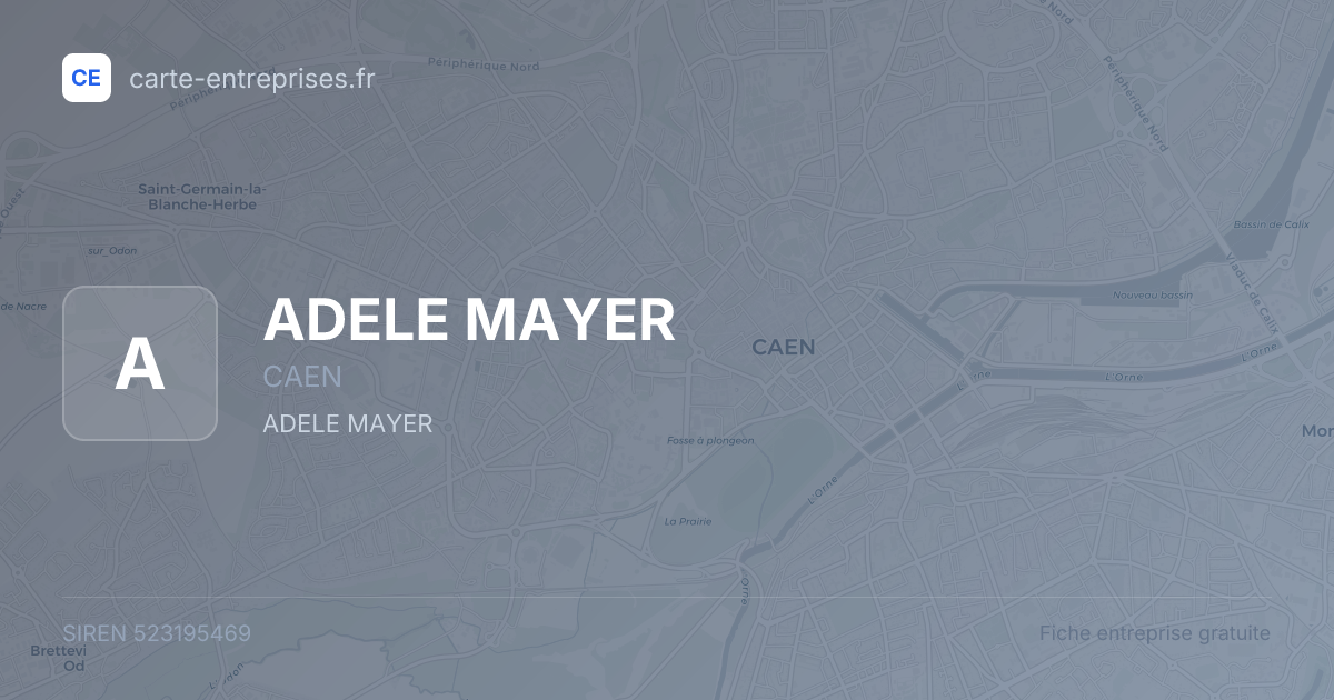 ADELE MAYER — 523195469 — fiche entreprise