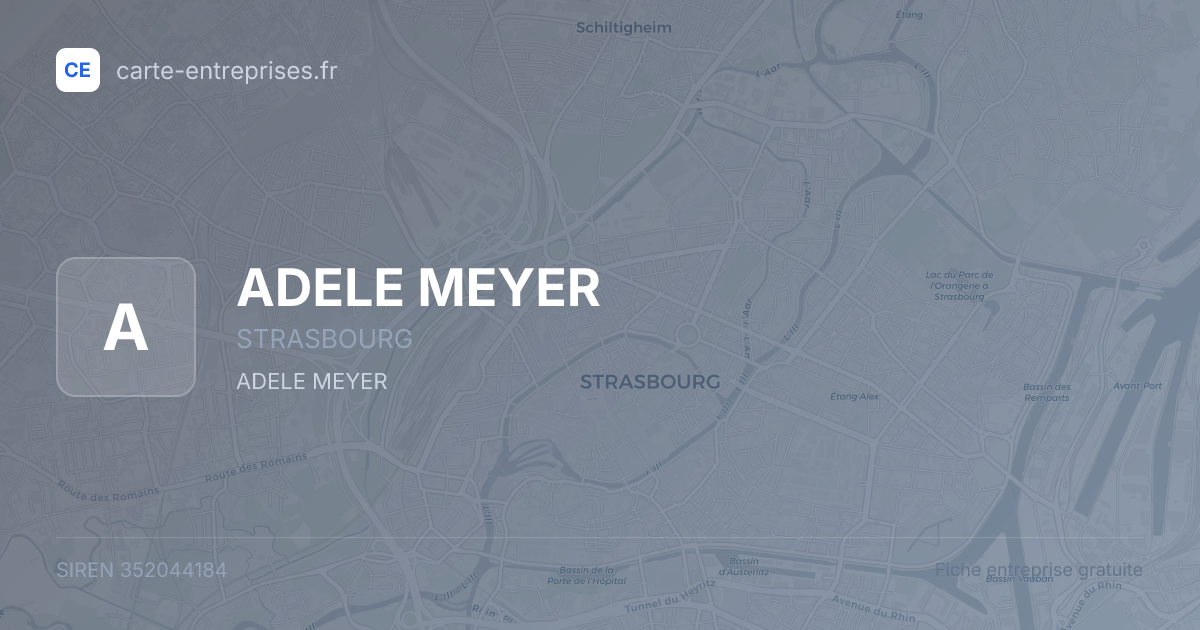 ADELE MEYER — 352044184 — fiche entreprise