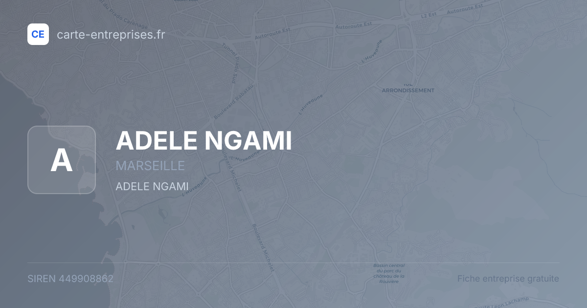 ADELE NGAMI — 449908862 — fiche entreprise