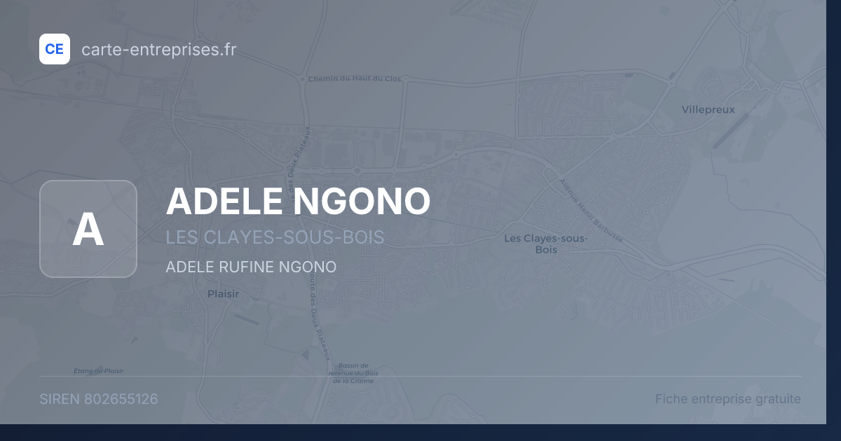 ADELE NGONO — 802655126 — fiche entreprise