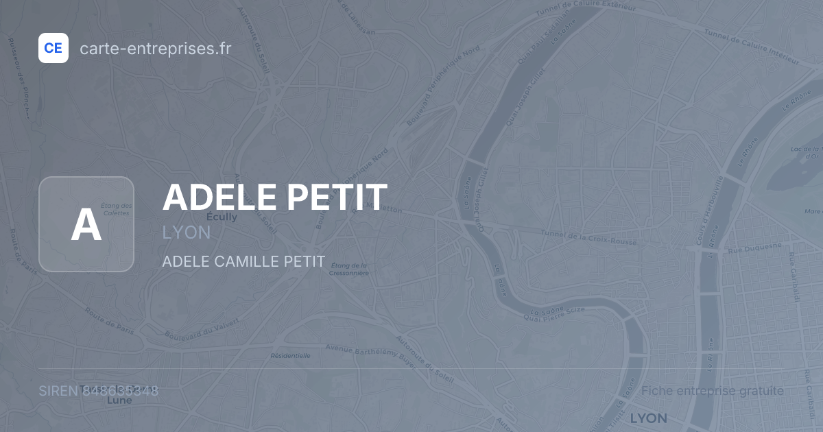 ADELE PETIT — 848635348 — fiche entreprise
