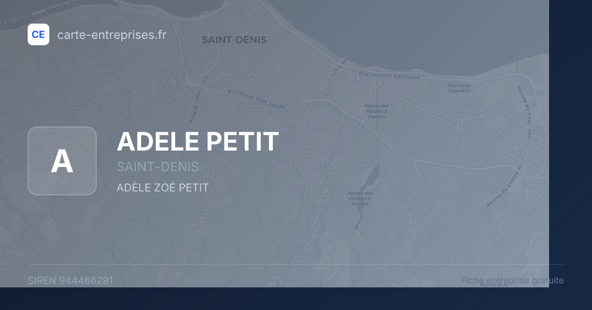ADELE PETIT — 944466291 — fiche entreprise