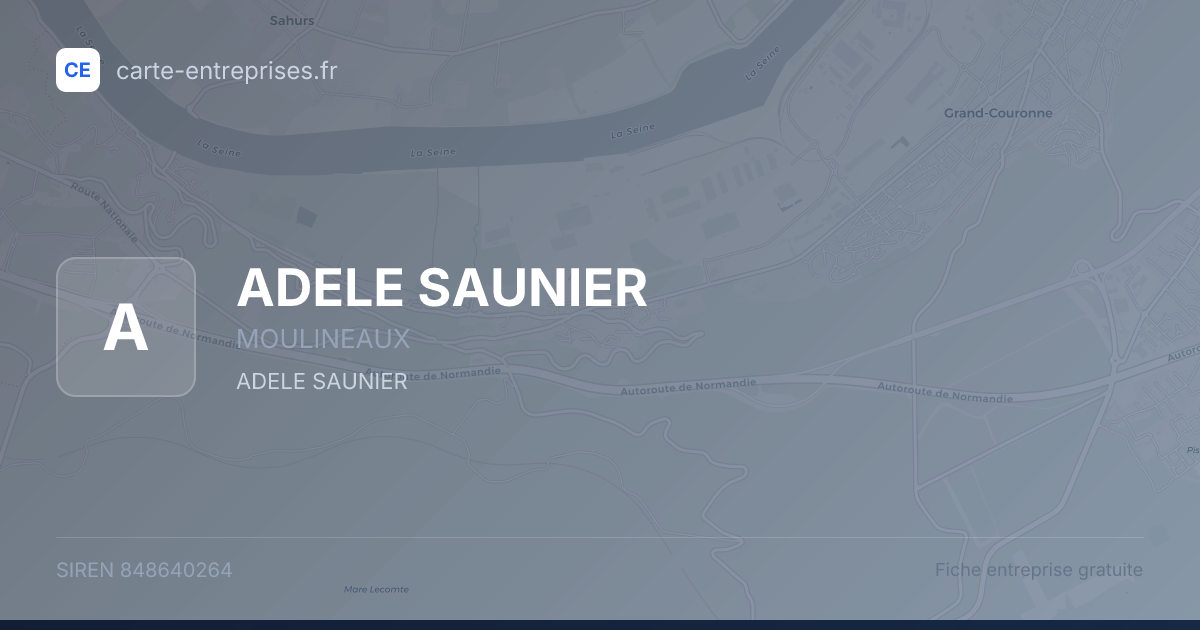 ADELE SAUNIER — 848640264 — fiche entreprise