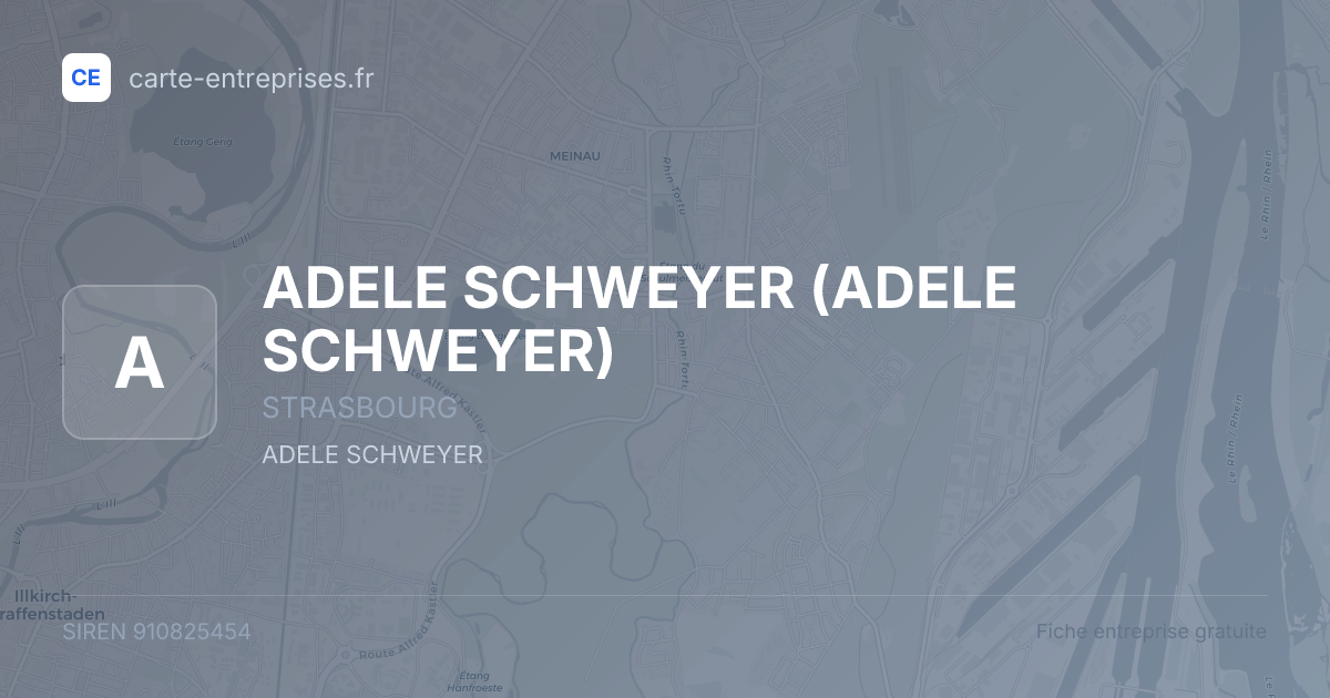 ADELE SCHWEYER — 910825454 — fiche entreprise