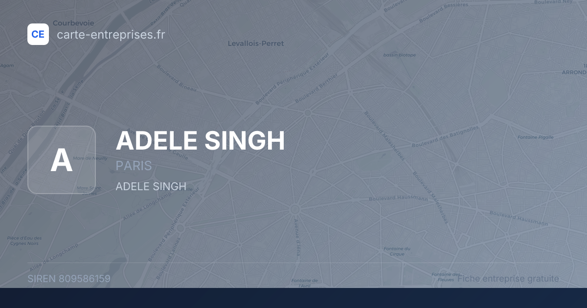 ADELE SINGH — 809586159 — fiche entreprise