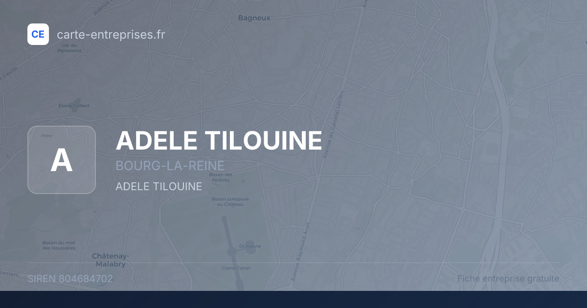 ADELE TILOUINE — 804684702 — fiche entreprise