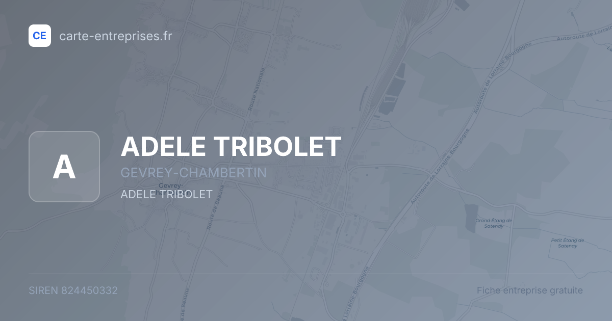 ADELE TRIBOLET — 824450332 — fiche entreprise
