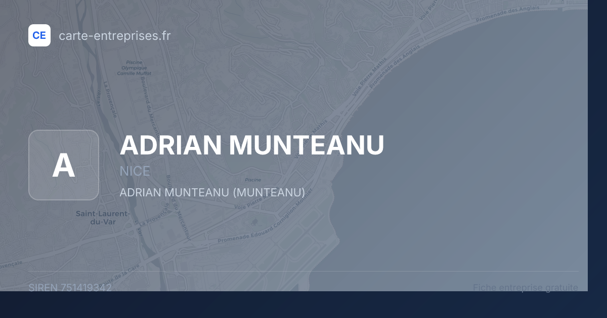 ADRIAN MUNTEANU — 751419342 — fiche entreprise