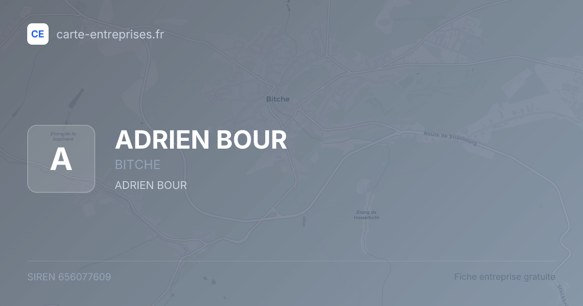 ADRIEN BOUR — 656077609 — fiche entreprise