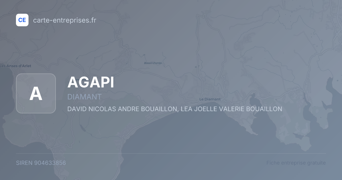 AGAPI — 904633856 — fiche entreprise