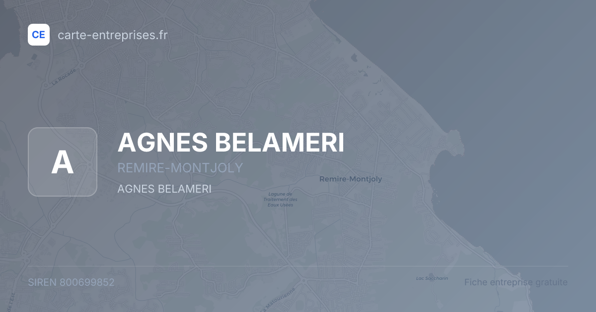 AGNES BELAMERI — 800699852 — fiche entreprise