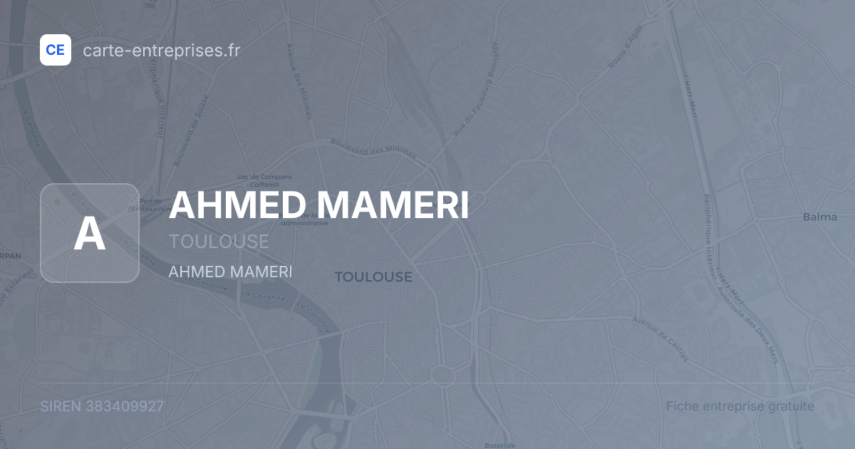 AHMED MAMERI — 383409927 — fiche entreprise